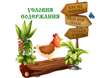 Инструкции по содержанию
