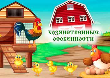 Хозяйственные особенности